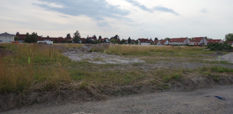 Bunte Stöckchen, und nun?