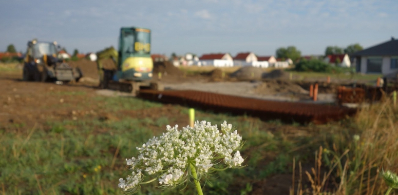 So schön kann eine Baustelle sein.