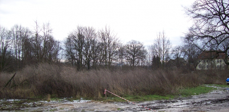 Unser Grundstück wartet auf den Bagger
