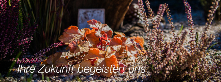 Jens Mischnik - Für Ihre sichere Zukunft